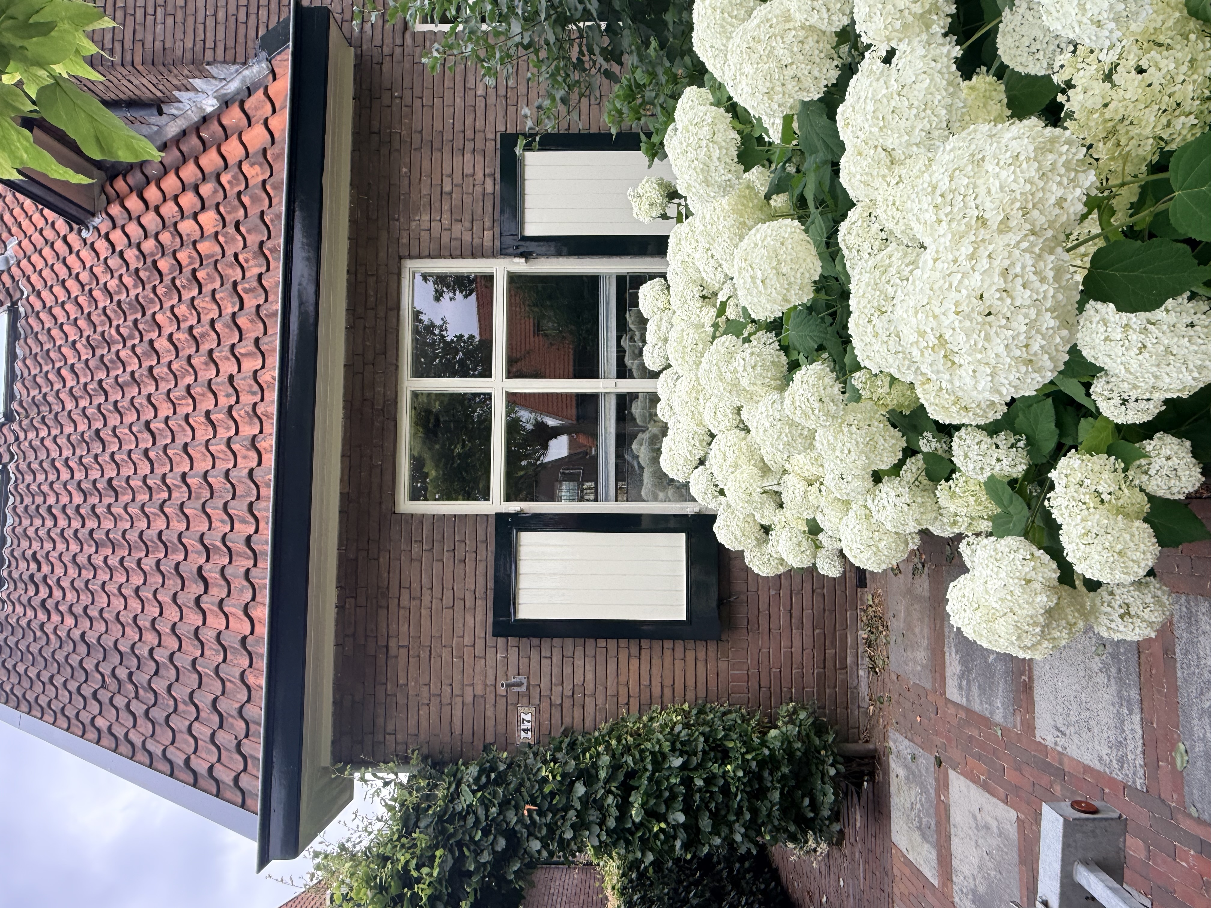     cent uitgevoerd buitenschilderwerk aan vrijstaande woning in Dieren